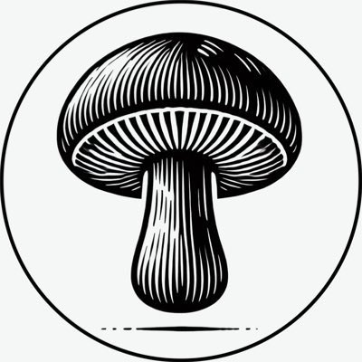 SHROOMIES Team - SHROOMIES